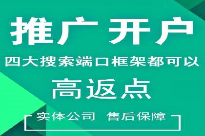 百度竞价账户管理工具推荐：实战案例与使用技巧